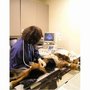 Photo of Fifth Avenue Veterinary Hospital