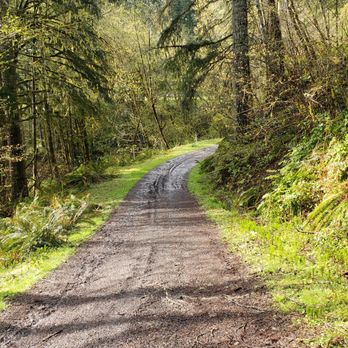 Mountaindale Sun Resort - Lovely road to the hiking trails. - Resorts Near Me - North Plains, Oregon Mountaindale Sun Resort - Lovely road to the hiking trails. - Resorts Near Me - North Plains, Oregon