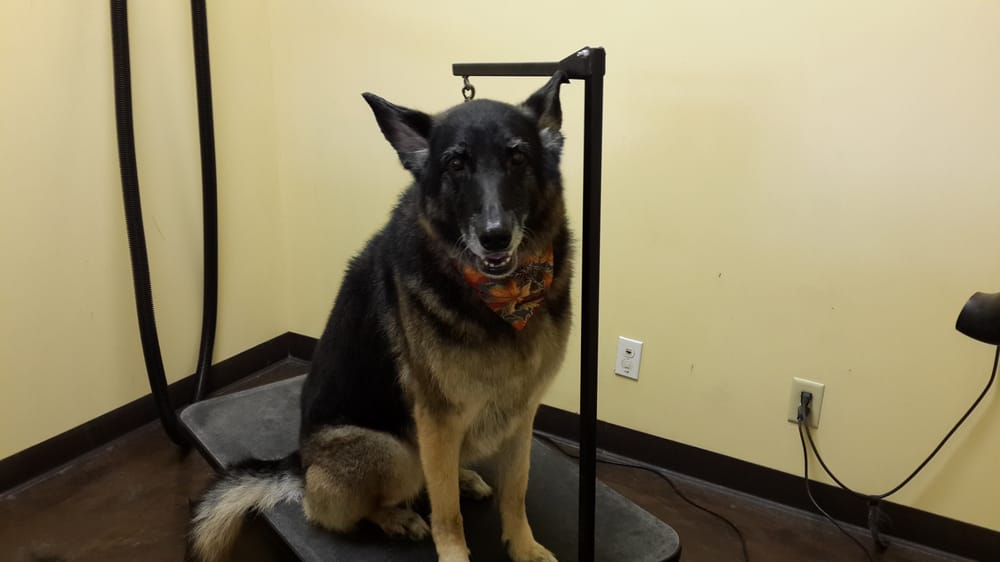 CLIPN’ MUTTS Updated August 2024 19 Photos & 13 Reviews 14050