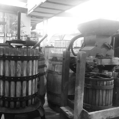 Fenn Valley Vineyards by null
