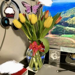 Tulip bouquet