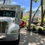 Photo of A&M Affordable Tree Service