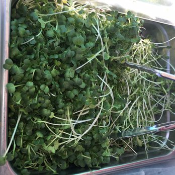 Solvang Farmers Market - Love! Love! Love sunflower and radish sprouts! Great way to elevate a sandwich or a salads overall flavor & texture. - Farmers Market Near Me - Solvang, California Solvang Farmers Market - Love! Love! Love sunflower and radish sprouts! Great way to elevate a sandwich or a salads overall flavor & texture. - Farmers Market Near Me - Solvang, California