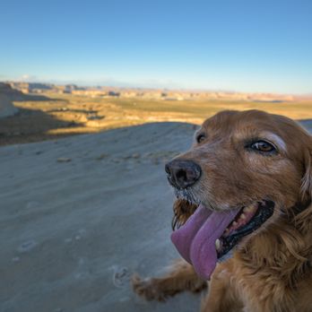 Brooks Veterinary Service - Veterinarians Near Me - Granby, Colorado
