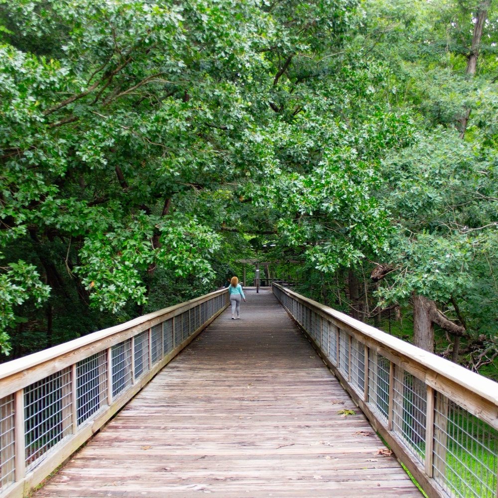 McDaniel Farm Park - Parks Near Me - Duluth, Georgia McDaniel Farm Park - Parks Near Me - Duluth, Georgia