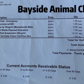 Bayside Animal Hospital, A PetOne Veterinary Hospital - Veterinarians Near Me - Bayside, New York Bayside Animal Hospital, A PetOne Veterinary Hospital - Veterinarians Near Me - Bayside, New York