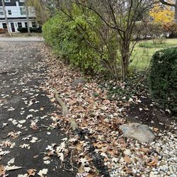AH Landscaping
