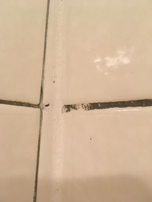 Grout Perfect/Perfect Services