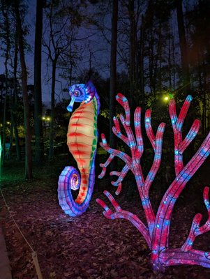 Koka Booth Amphitheatre by null