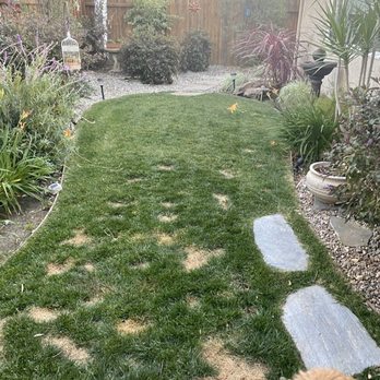 Preferred Turf - Before - Artificial Turf Near Me Preferred Turf - Before - Artificial Turf Near Me