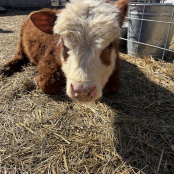 Hidden Hill Farm - Attraction Farms Near Me - Sewell, New Jersey