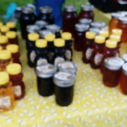 McKinley Park Farmers Market - Jars of honey