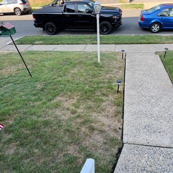 Simply The Best Lawns - Second section of browned out lawn. - Lawn Services Near Me - Pequannock Township, New Jersey