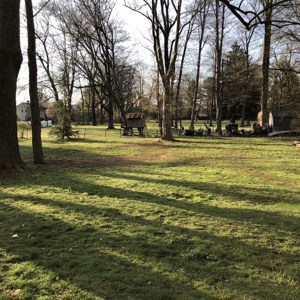 Ace Tree Experts - After - Tree Services Near Me - Waukegan, Illinois