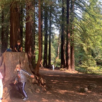 Samuel P Taylor State Park - Parks Near Me - Lagunitas, California