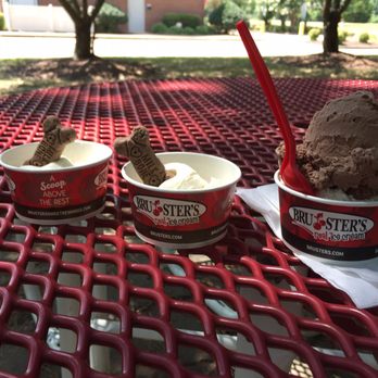 Bruster's Real Ice Cream - 2 pup cups and one double scoop of cookie dough and chocolate - Ice Cream & Frozen Yogurt Near Me - Williamsburg, Virginia