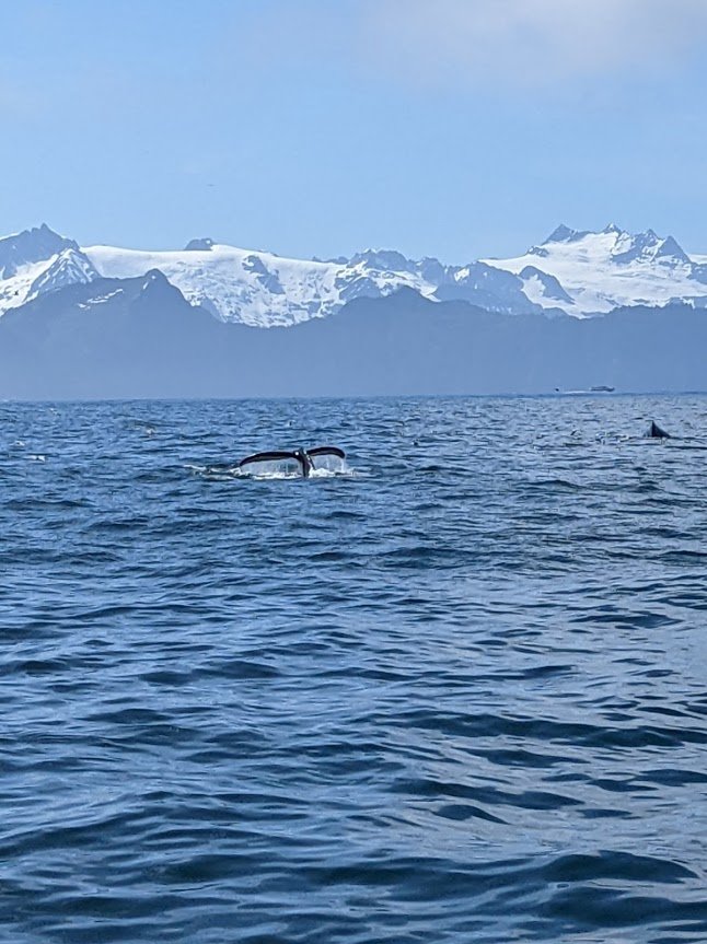 GREAT ALASKA ADVENTURE LODGE Updated September 2024 33881 Sterling Hwy, Sterling, Alaska