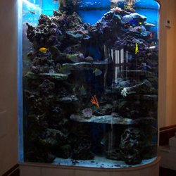 Fishy Stuff - 700 Gallon Custom Corner System built and maintained by Fishy Stuff