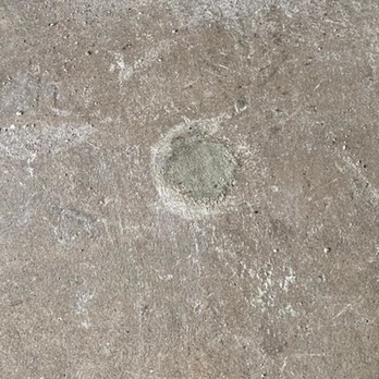 Great Wall Termite Control - subterranean termite treatment - Pest Control Near Me - San Jose, California