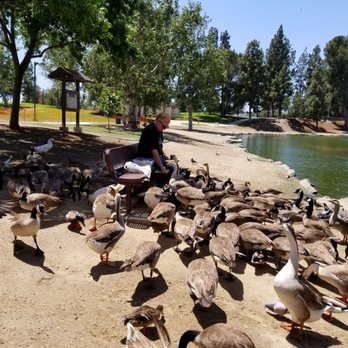 Rancho Simi Community Park - Tennis Near Me - Simi Valley, California