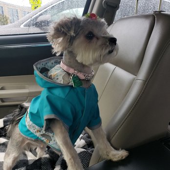 Petco - Shugha loves taking pictures - Pet Stores Near Me - Peabody, Massachusetts
