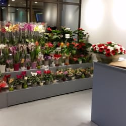 Blumen Grün Punkt