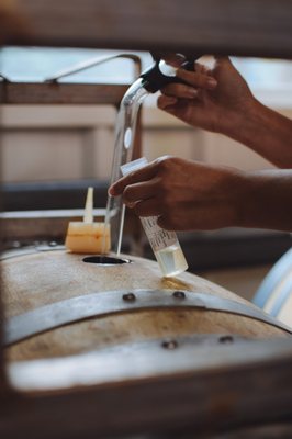 Cowhorn Vineyard & Garden by null