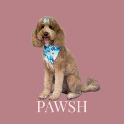 PAWSH