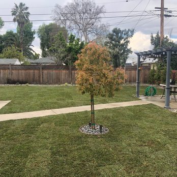 AL Lopez Landscaping - Landscaping Near Me