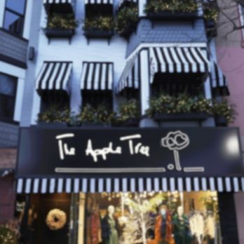 The Apple Tree - Women's Clothing Near Me - Stroudsburg, Pennsylvania The Apple Tree - Women's Clothing Near Me - Stroudsburg, Pennsylvania