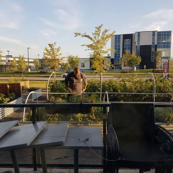 The Workshop Eatery - Chef Paul cutting herbs in the fresh garden for us! - Canadian (New) Near Me - Edmonton, Alberta