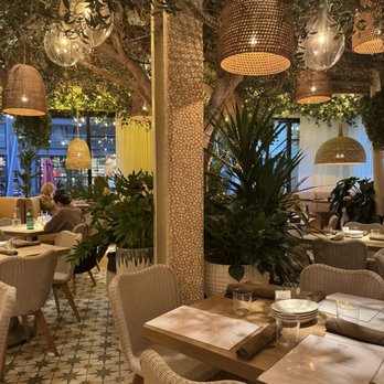 Ema - Interior - Mediterranean Near Me - Austin, Texas