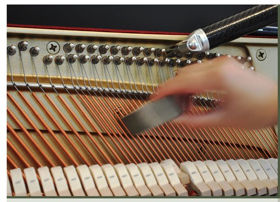 Tuning and Repair Services - Waldeland Piano Tuning has proudly serviced pianos for over 10 years. Our goal is to provide the highest level of piano services to each and every client.
I'll work with you to optimize your piano's performance so as to meet all of your musical goals.
My extensive piano tuning and repair experience will assure you of consistent top-notch piano services.

Services Offered Include:
• Precise tuning for home, studio, or concert hall • Repairs and regular maintenance • Action regulation from minor to complete • Voicing to improve quality of tone • Appraisals for piano purchases or selling

Please call or text 952-250-7272
We look forward to hearing from you!