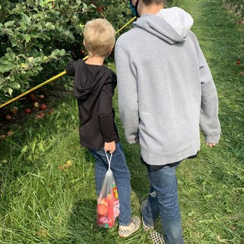 Afton Apple Orchard - Fruits & Veggies Near Me - Hastings, Minnesota Afton Apple Orchard - Fruits & Veggies Near Me - Hastings, Minnesota