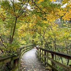 Hayden Falls Park - Hayden Run Falls in the Fall