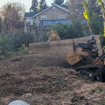 North Roots Tree Care - Stump grinder. Credit AreYouThatWoman.com - Tree Services Near Me - Olivehurst, California North Roots Tree Care - Stump grinder. Credit AreYouThatWoman.com - Tree Services Near Me - Olivehurst, California