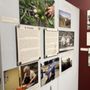 Photo of Vacaville Museum
