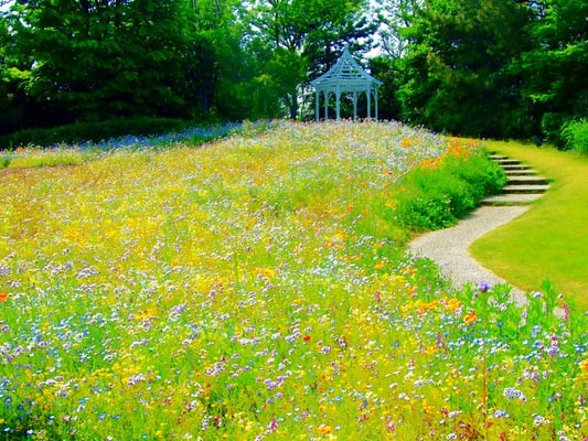 ワイルドフラワーガーデン ブルーボネット Parks 潮見町42 名古屋市港区 愛知県 Japan Phone Number Yelp