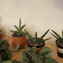 The Plant Outpost