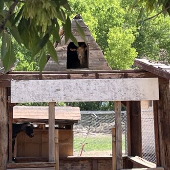 Bumbleberry Inn - Farm animals on site - Hotels Near Me - Springdale, Utah