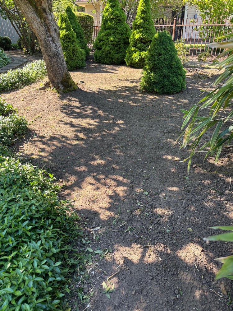 SKB Yard Care - tree service in Springfield, OR