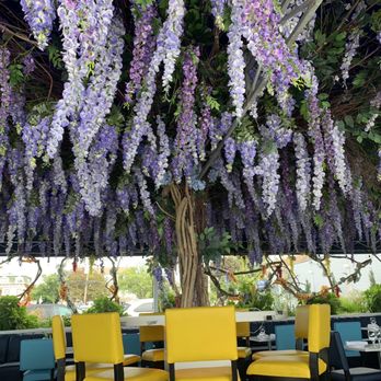 Vistamar - Outside dining - Seafood Near Me - Bronx, New York