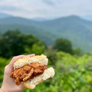 Anniversary Trip to Asheville, NC