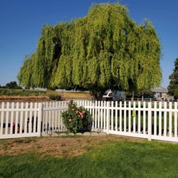 Forrest's Tree Service