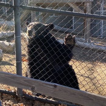 Wildhaven Ranch - Zoos Near Me - Cedar Glen, California Wildhaven Ranch - Zoos Near Me - Cedar Glen, California