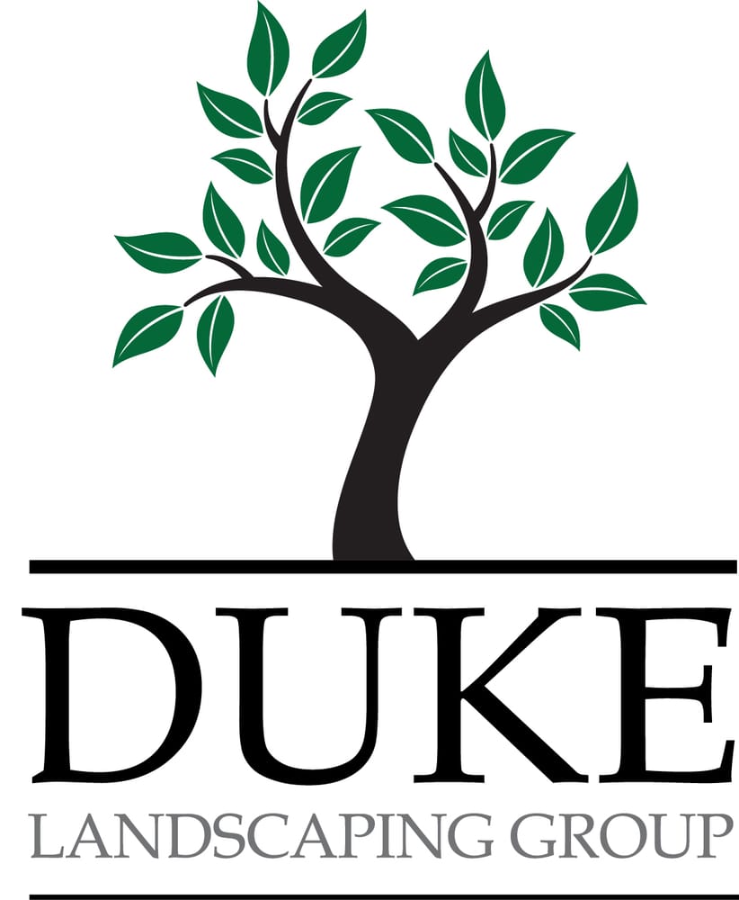 DUKE LANDSCAPING GROUP Updated July 2024 13713 Wagram Rd