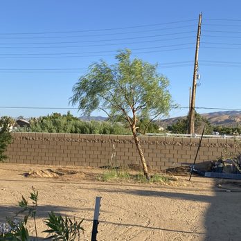 Performance Tree Service - Tree Services Near Me