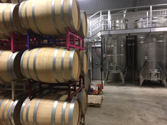 Cellar Rat Wine Tours by null