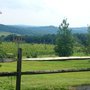 Photo of Evergreen Valley Vineyards