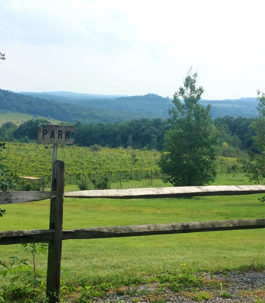 Evergreen Valley Vineyards Logo